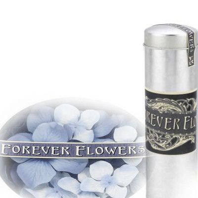 Prima flower N°5...