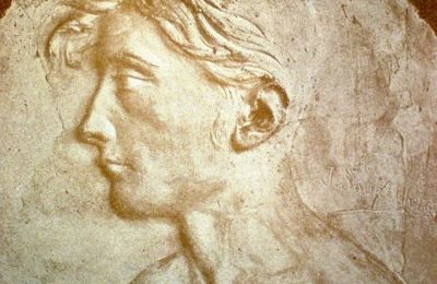 Le cas Verfeuil Raoul, bilan