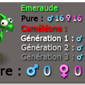 1ère émeraude caméléone de génération 3