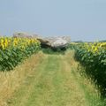 DOLMEN DE LIGRE