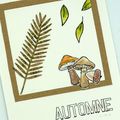 Echange automnale