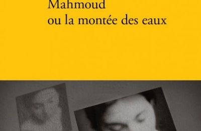 "Mahmoud ou la montée des eaux" d'Antoine Wauters
