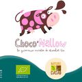 Choco'Mallow - Chocolatier bio Nature et Cacao (95)