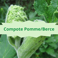 07/4 Compote Pomme/Berce