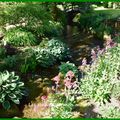 Les jardins de mon moulin