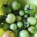 Beignets de tomates verte