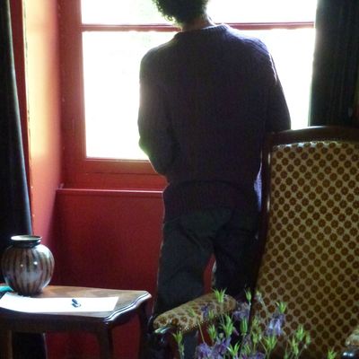 Les langues violettes des fleurs de trèfle,