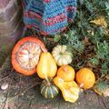 Coloquinte bag, c'est l'automne au crochet ...