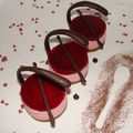 Bavarois aux framboises sur spéculoos