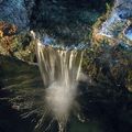 Le Mois de Marie à la Grotte de Lourdes