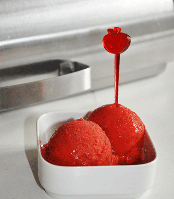 Sorbet Fraise Version Légère (GP/PL)