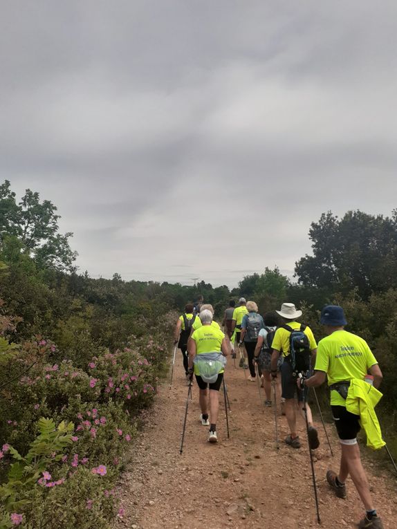 13km dans les collines de Flassans pour 13 sportifs 