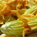 Fleurs de courgettes farcies