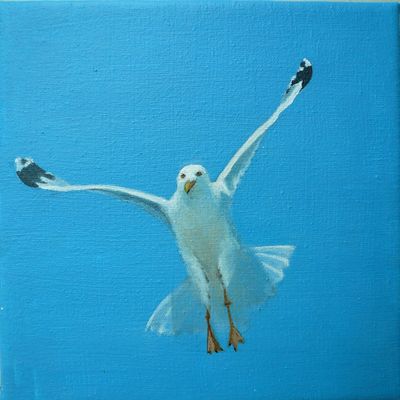 Voltige et Transparence!