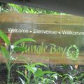 Jungle Bay en Dominique : un p'tit coin de Paradis