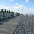 Une balade en baie de Somme