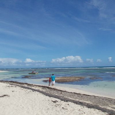 Les plages de Guadeloupe