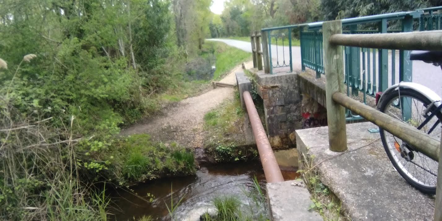 Nouvelle pollution du collecteur des eaux usées. Les AMIS DE TAUSSAT