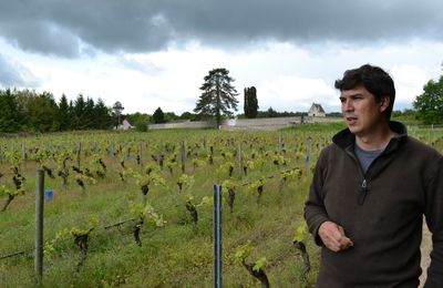 Xavier Courant, Domaine de l'Oubliée, à Bourgueil