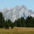 Au fil des balades natur ' L