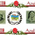 vive amazigh