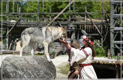 Le Chant de la Dame et du Loup