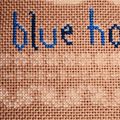 C'est une maison bleue...