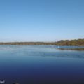 Une balade au bord de "mon" Lac (de LEON), le 17 novembre (suite 2 et fin)