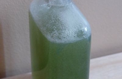 Recette d'un gel douche vivifiant pour homme au citron vert et à l'eucalyptus