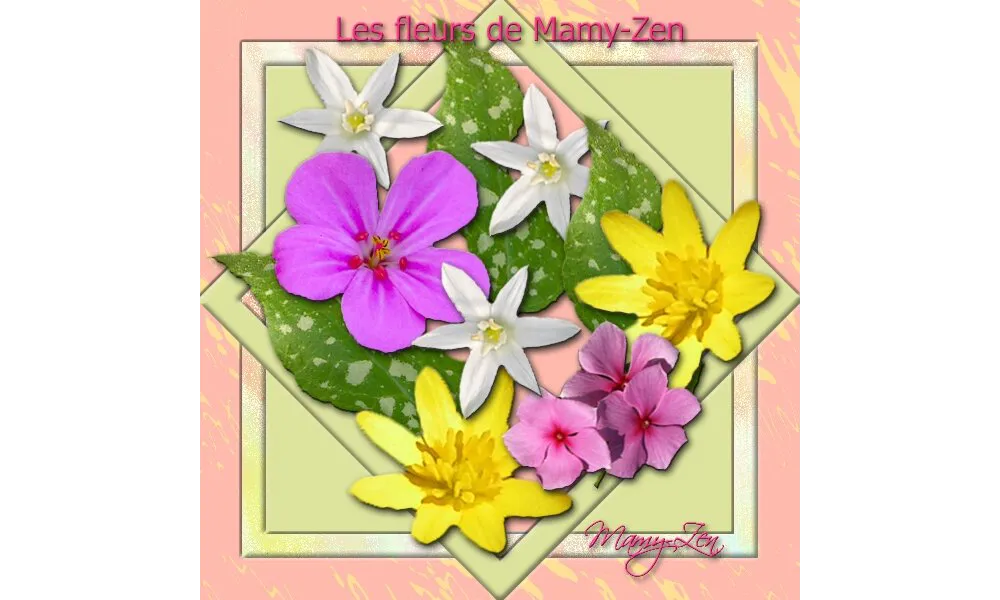 Les fleurs de Mamy-Zen