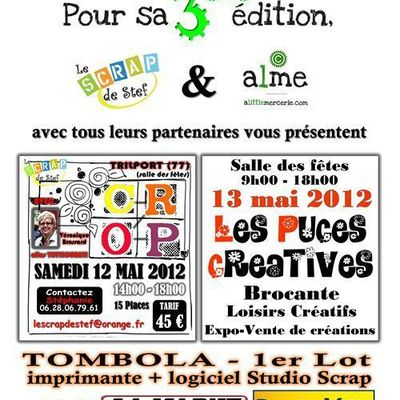 Les puces créatives de Trilport (77)