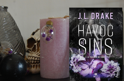 [ AVIS LECTURE ] Havoc of sins, tome 1 de J. L. Drake