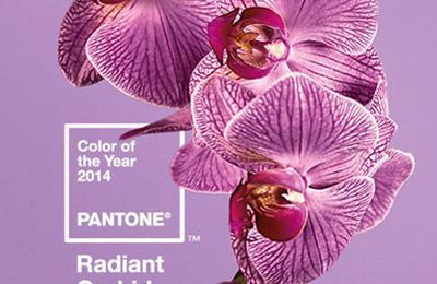 "Radiant Orchid": la couleur Pantone de l'année 2014.