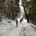 Trail des Coursières 2024 - 32 km 1150 mD+ (en 3h49).