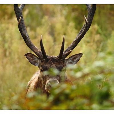 Rencontre au détour d'un chemin