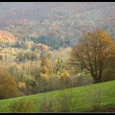 Piémont pyrénéen en automne