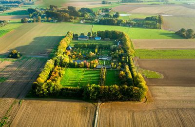 Le hêtre: première grande victime du changement climatique en Normandie...