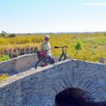 8 juin 2021 - Ile de Noirmoutier