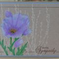 Sympathy Cards