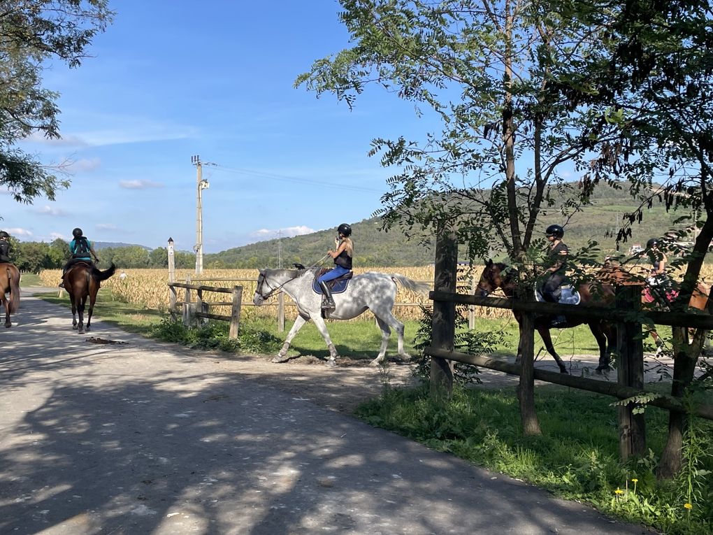 Lundi 06 octobre 2025 ma rando du mercredi 01 oct 2025  : L’“île de Mirefleurs” est une ancienne carrière réaménagée en plan d’eau, proche de la rivière Allier, à Mirefleurs dans le Puy‑de‑Dôme (63 ) Mon diapo au fil de mes pas 
