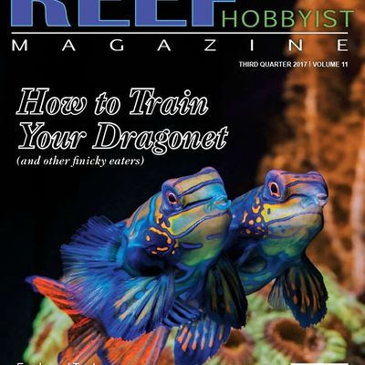 Nouvelle couverture pour le RHM :)