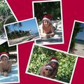 Noël aux Antilles 4