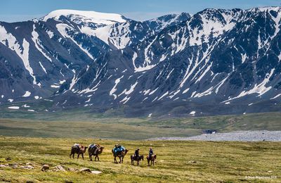L' Altai Mongole.