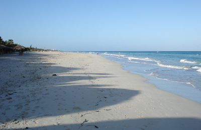 CUBA 2008