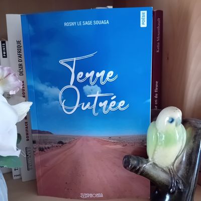 Terre outrée, de Rosny le Sage Souaga