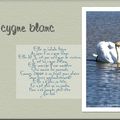 Le cygne blanc (paroles F.Cabrel)