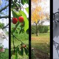 4 saisons au jardin