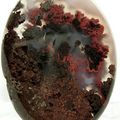 Red Plume Moss Agate Stone Cabochon 