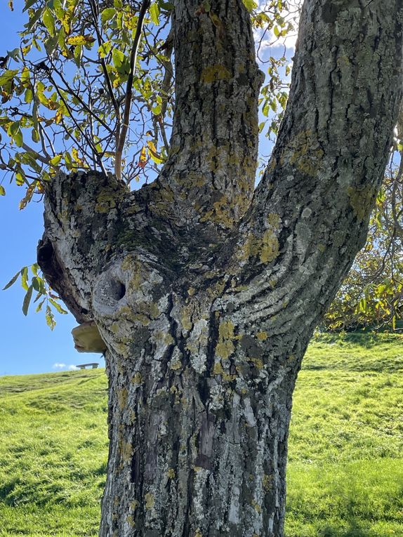 Jeudi 30 octobre 2025: Accès :  à pied depuis le centre-ville de Châtelguyon