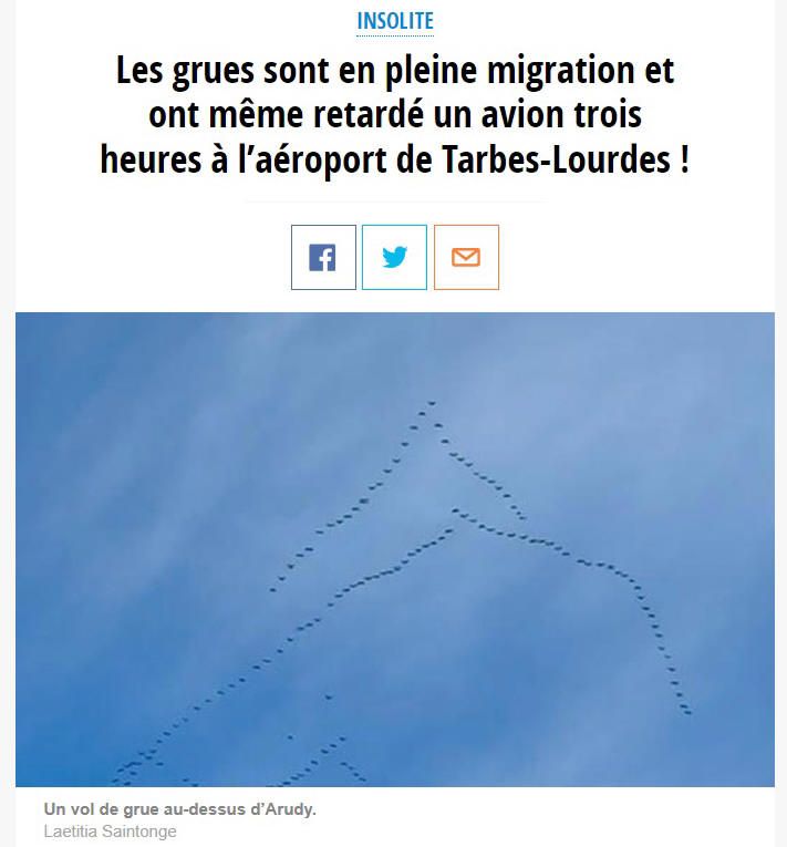 Un vol et des vols